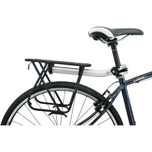 Axiom Flip Flop DLX