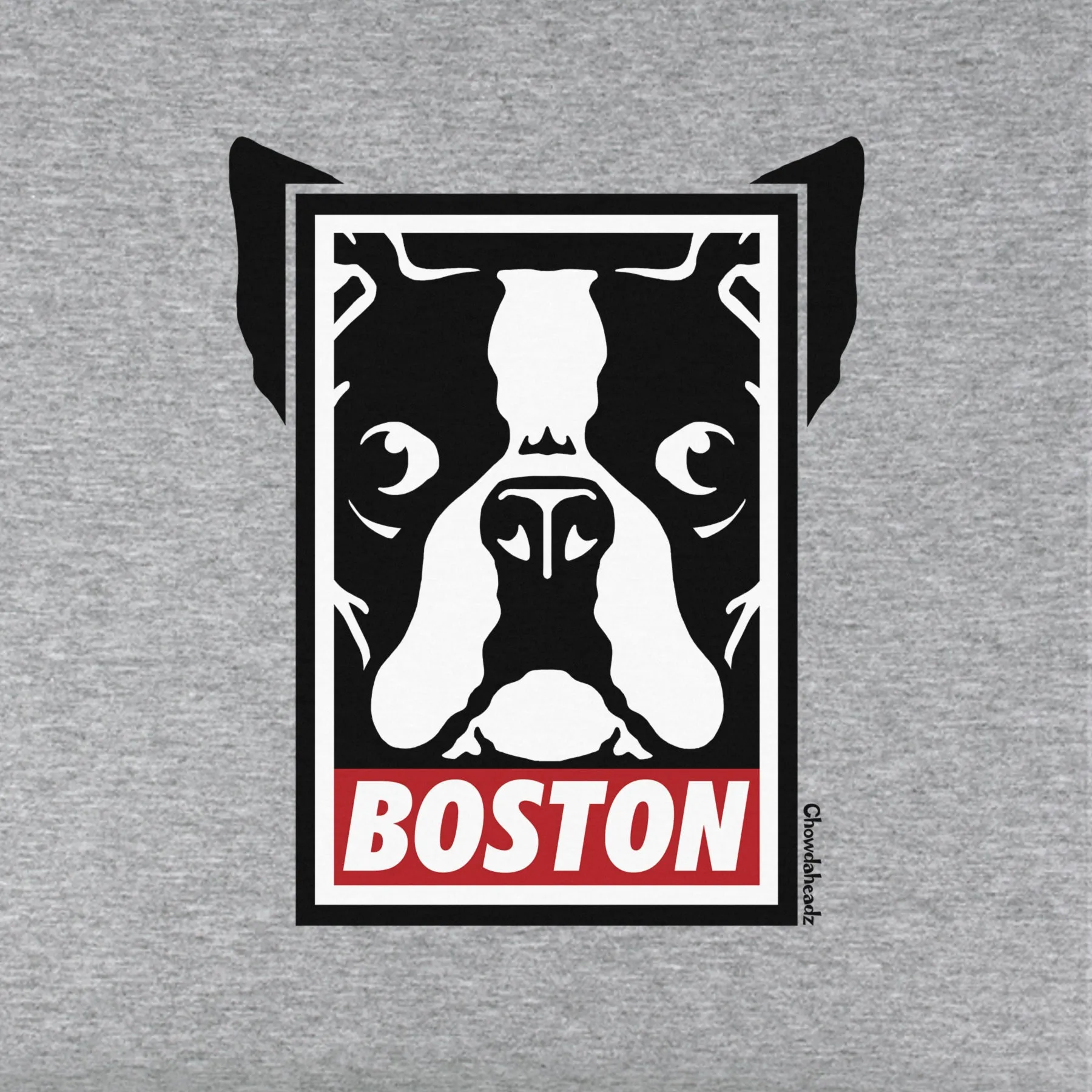Boston Terrier Frame Youth hoodie