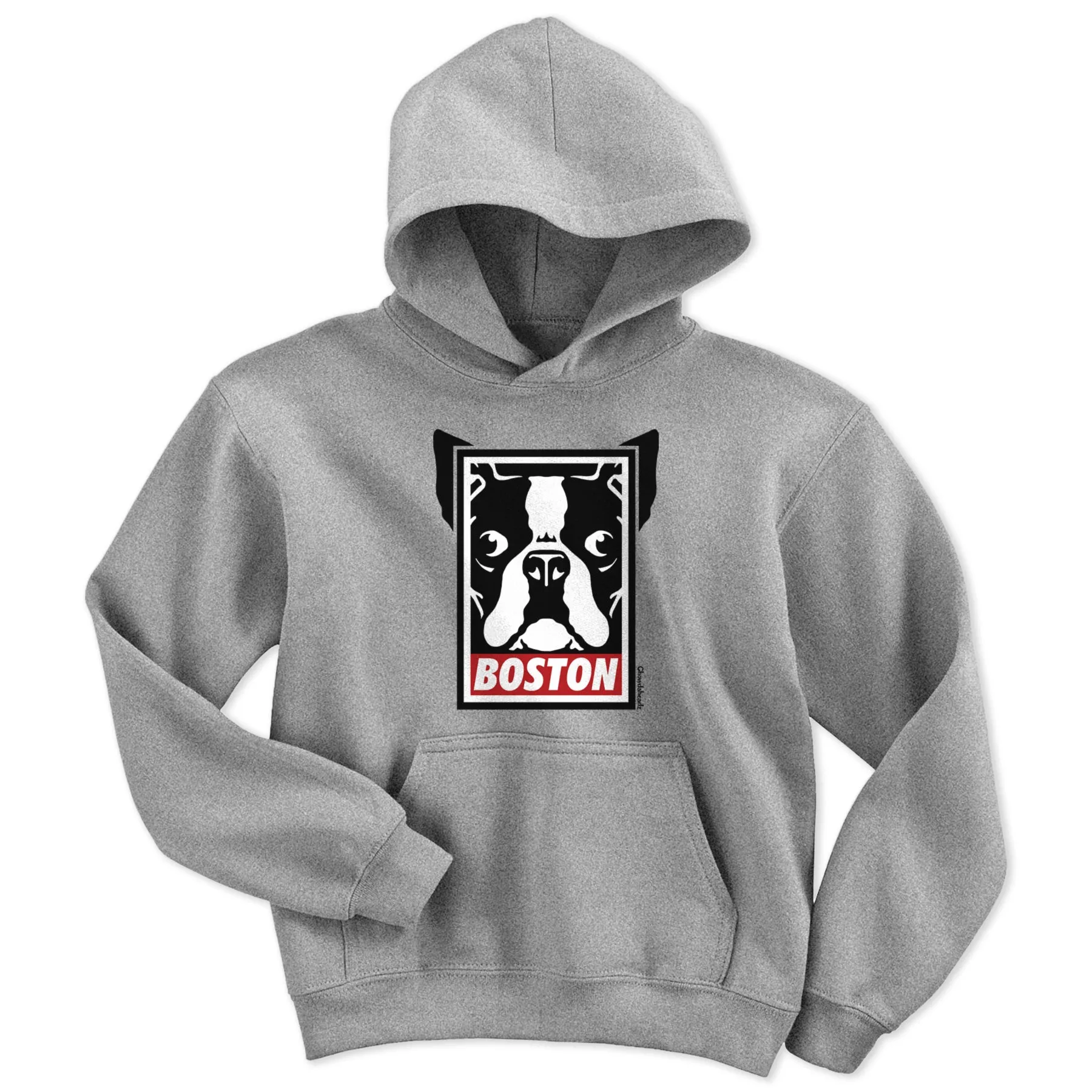Boston Terrier Frame Youth hoodie
