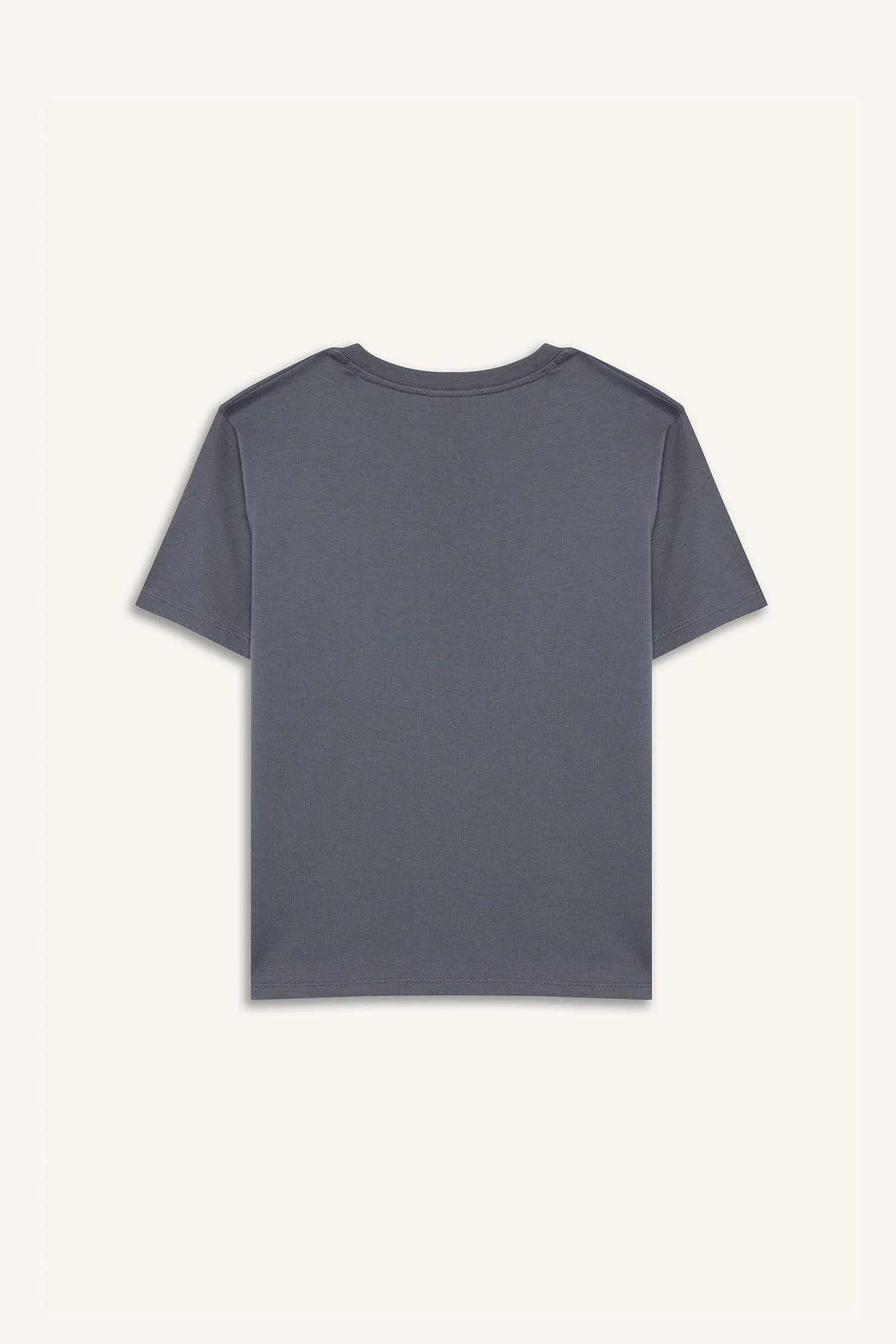 Boy Crew Neck Printed Short Sleeve T-Shirt