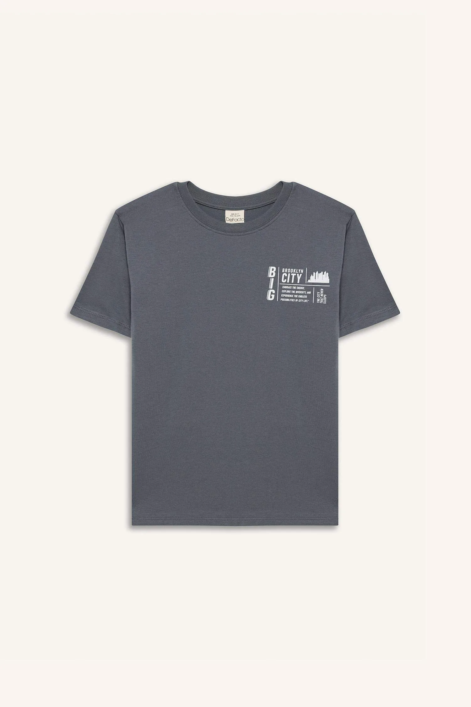 Boy Crew Neck Printed Short Sleeve T-Shirt