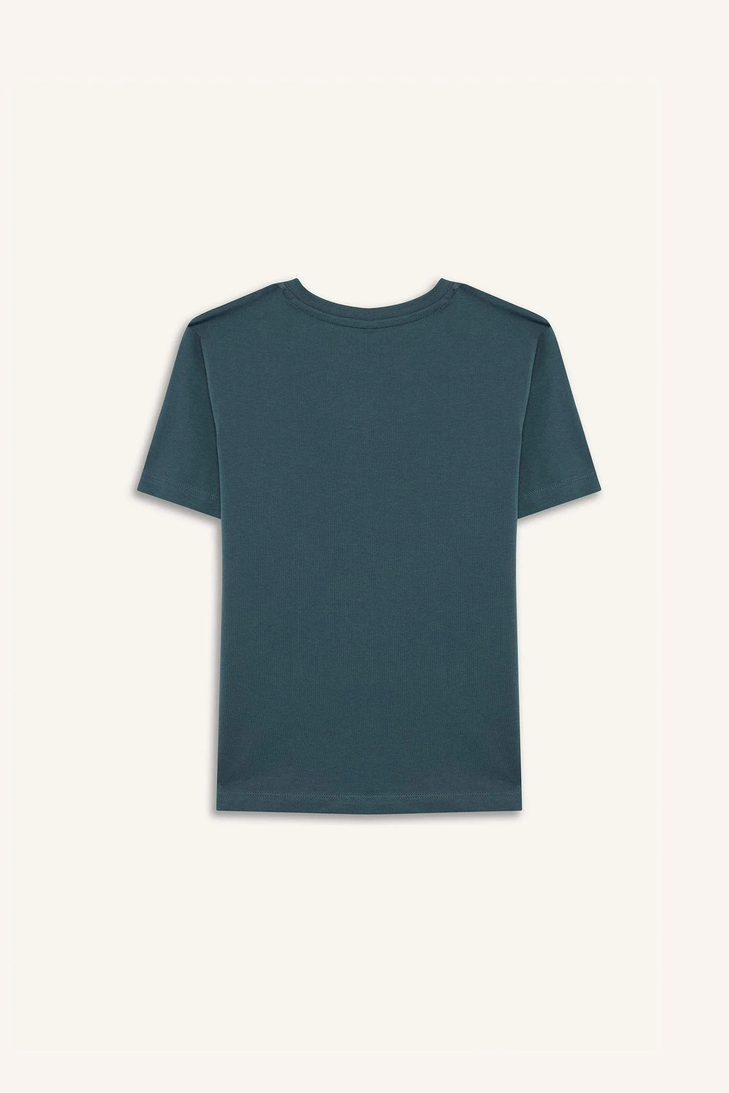 Boy Crew Neck Printed Short Sleeve T-Shirt