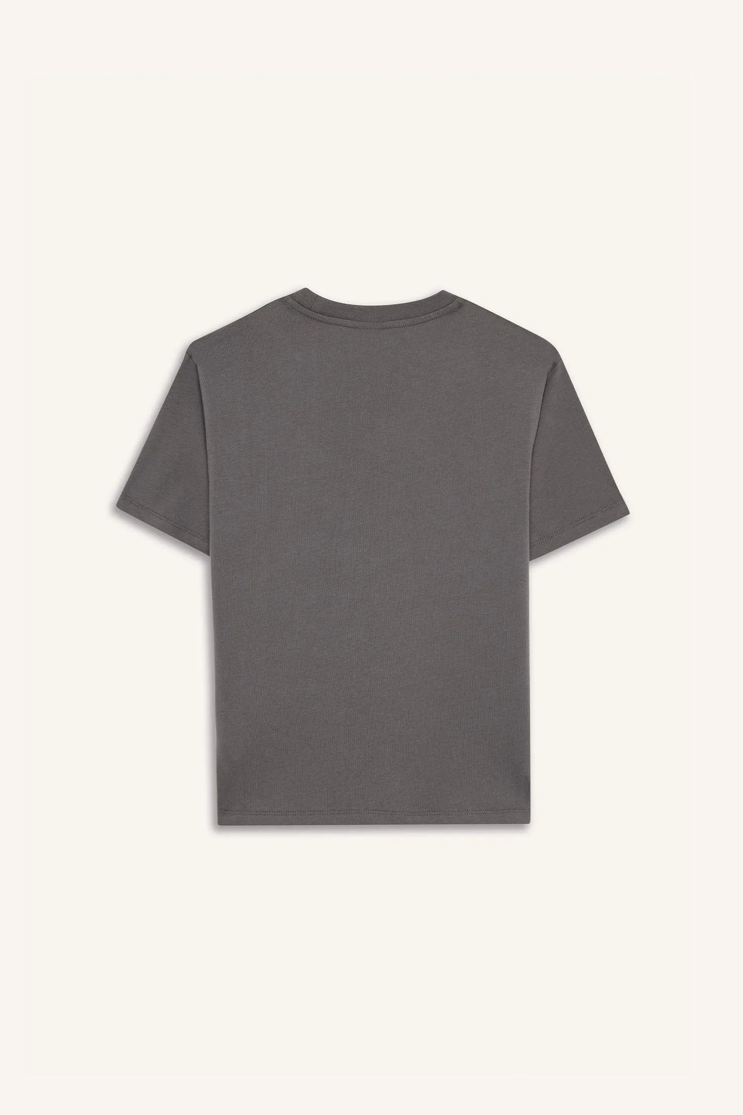 Boy Crew Neck Skateboard Printed Short Sleeve T-Shirt