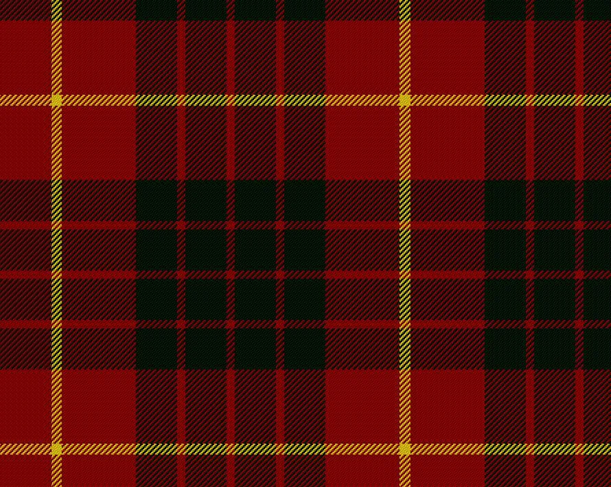 Cameron Modern Medium Weight 11oz Tartan Cloth