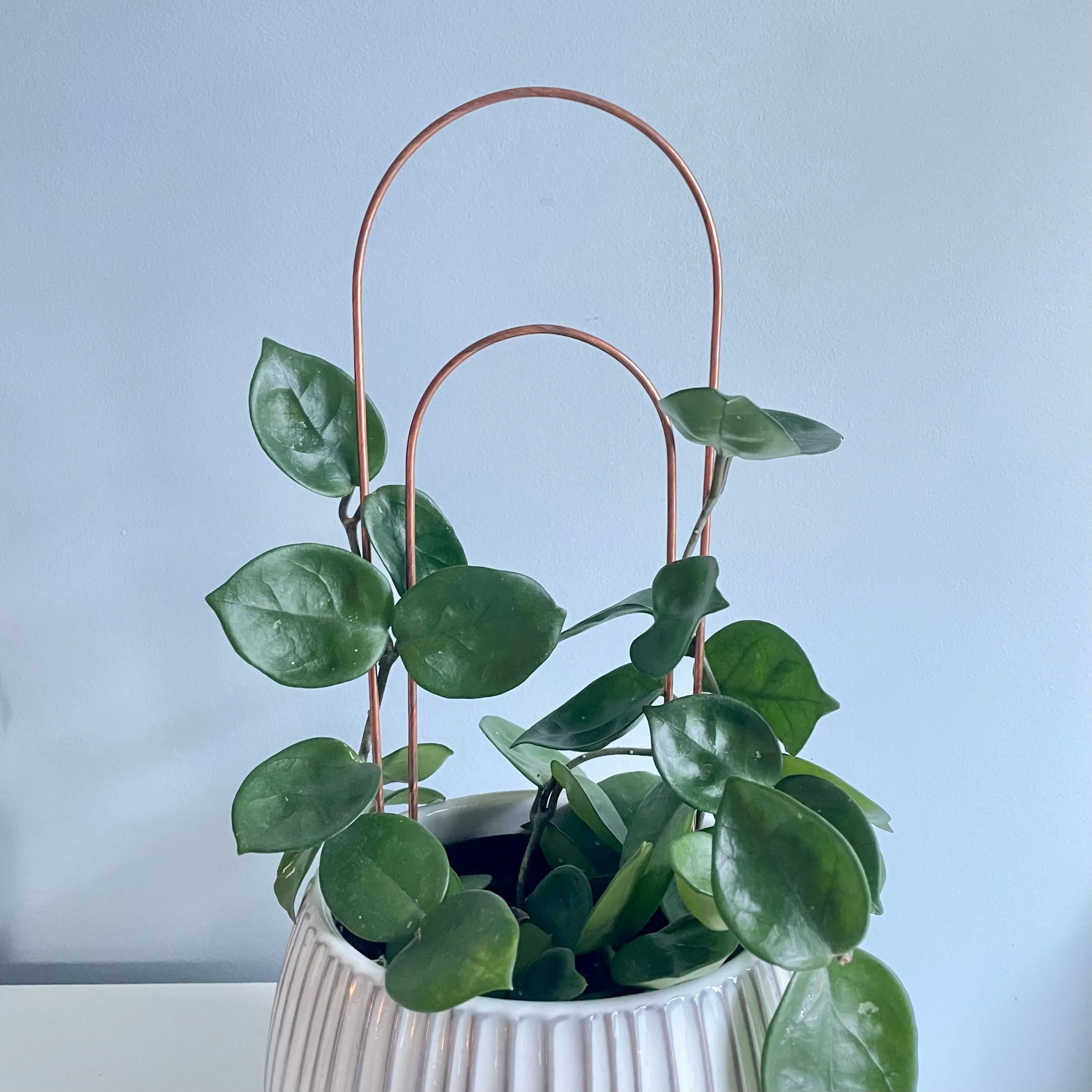 Copper Arch Trellis for House Plants, 4 Sizes Available