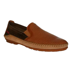 Dorian F1172