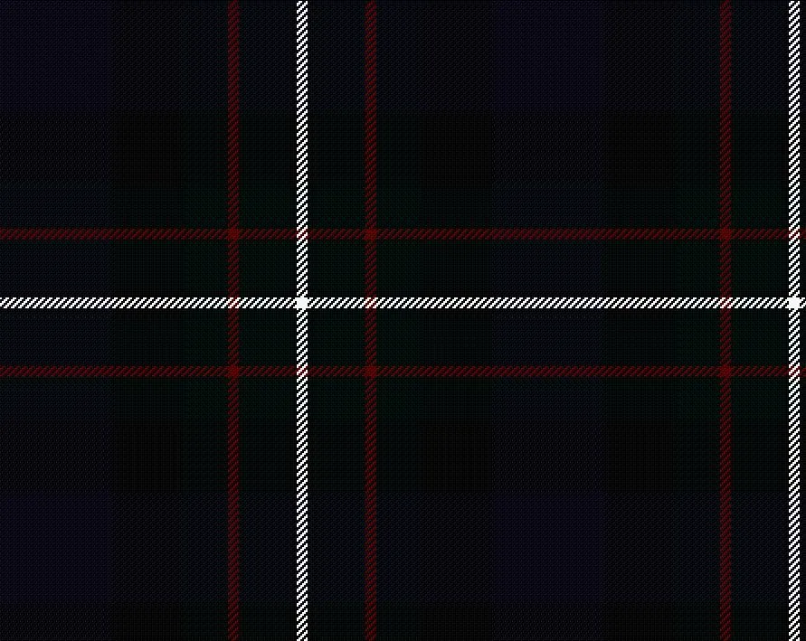 Ferguson Modern Medium Weight 11oz Tartan Cloth