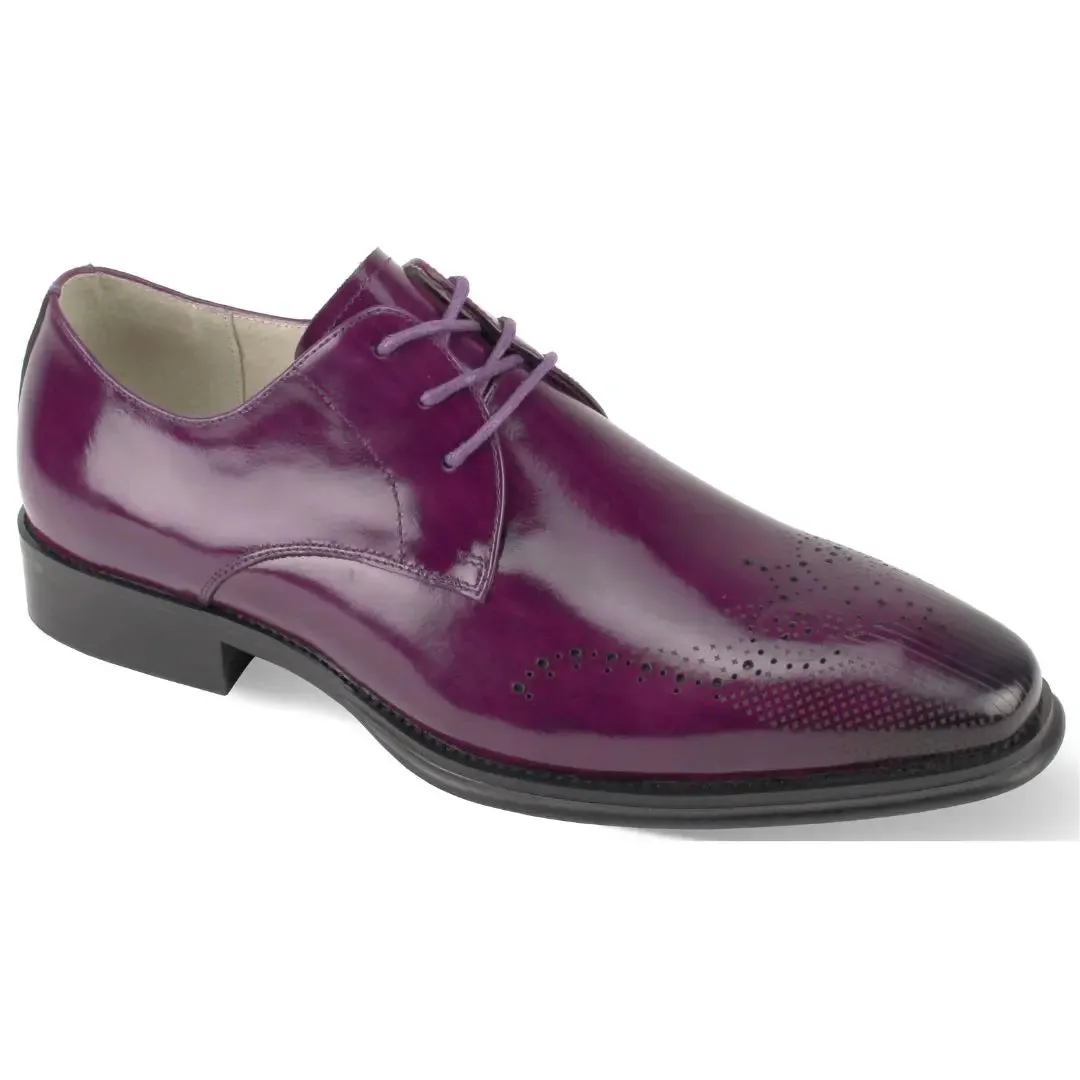 Giovanni Owen Lace Up Perforated Leather Oxford