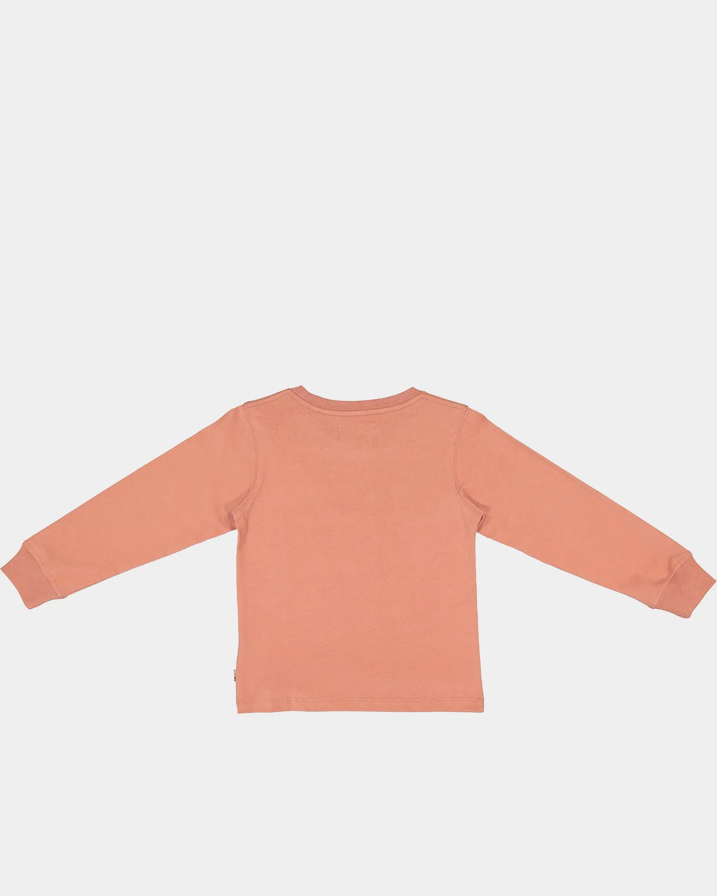 Honor The Gift Kids' Holiday Alive Long-Sleeve T-Shirt Terra Cotta