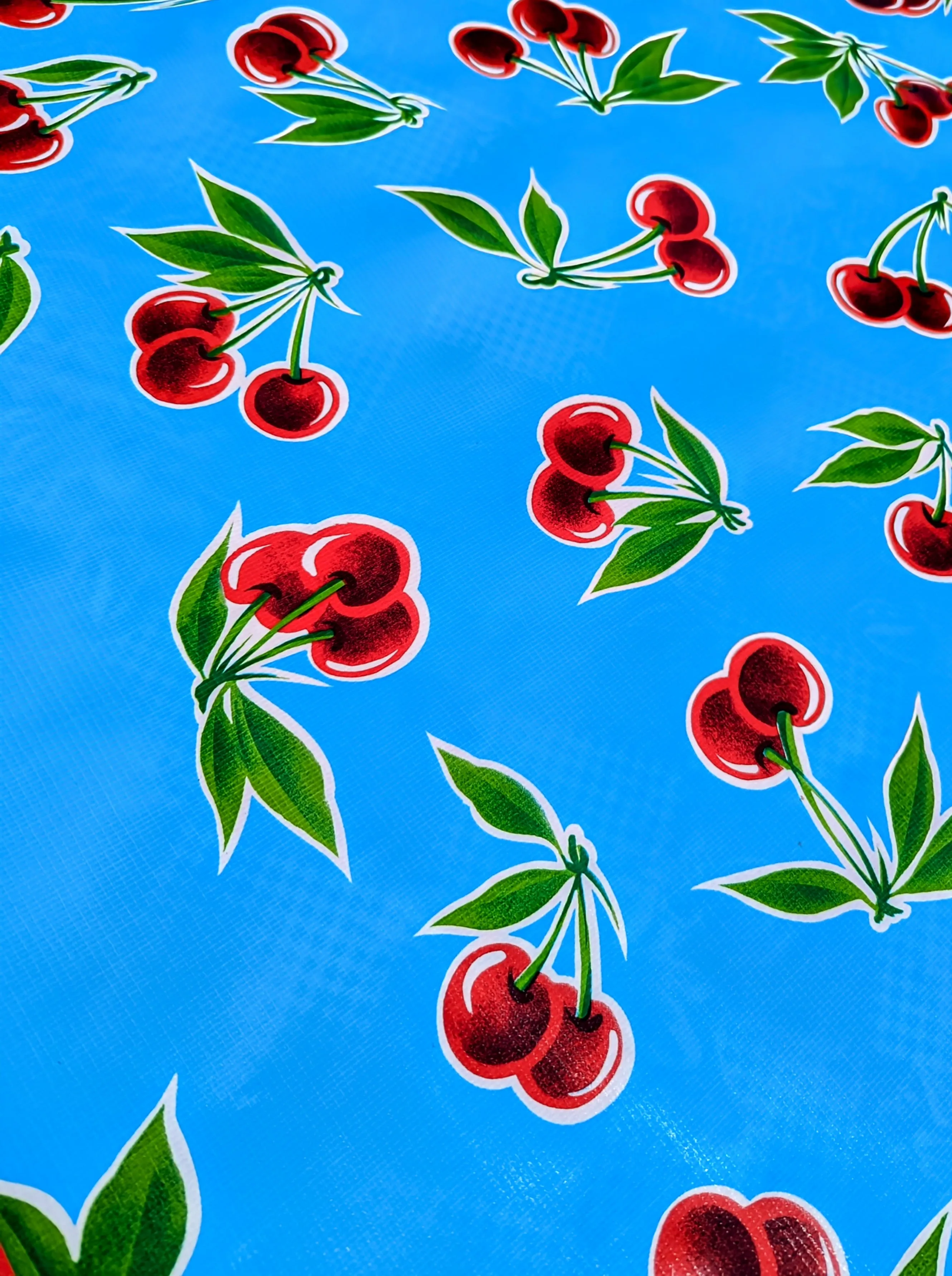 Mexican oilcloth 2m x 1.2m