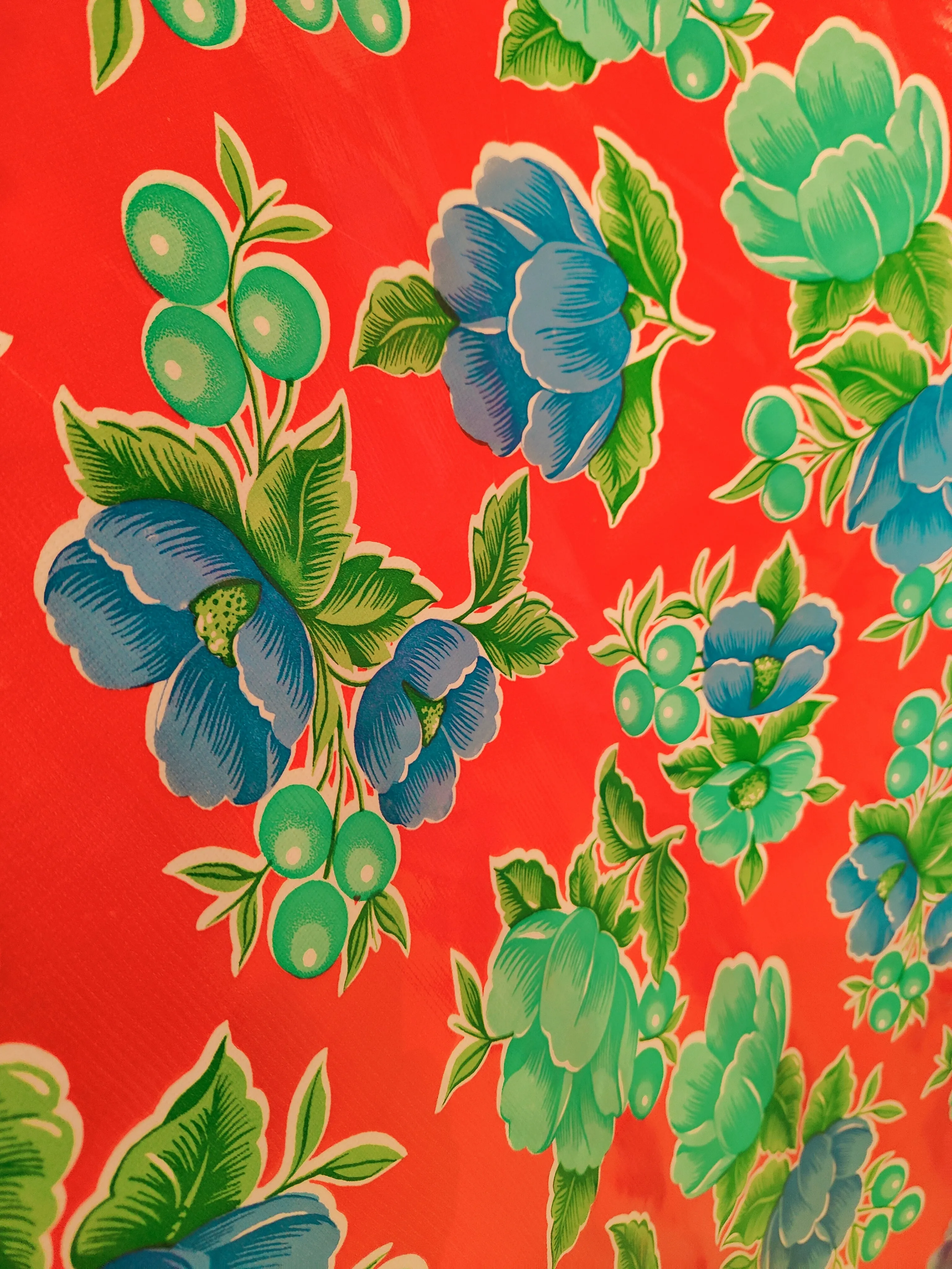 Mexican oilcloth 2m x 1.2m