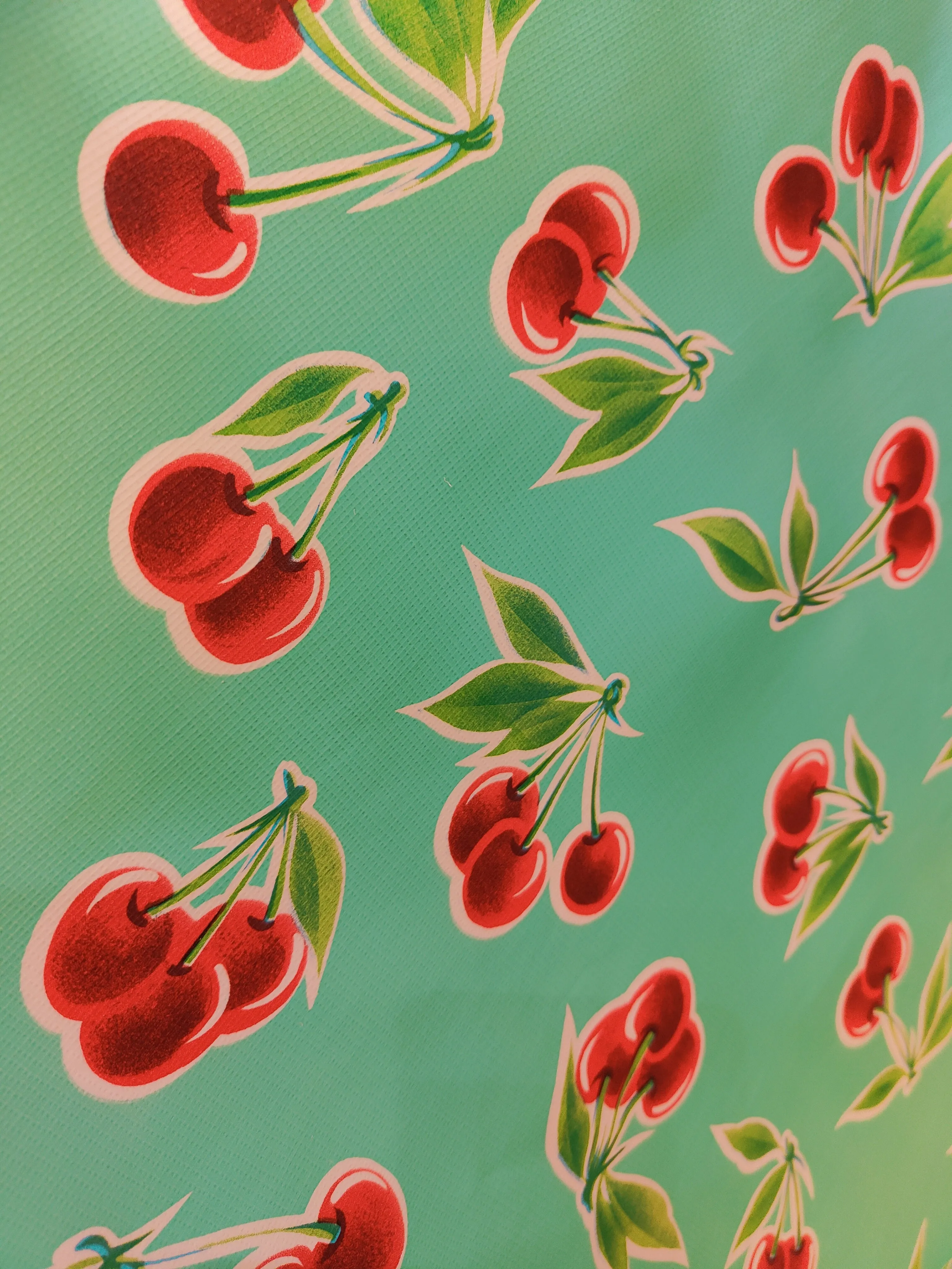 Mexican oilcloth 2m x 1.2m