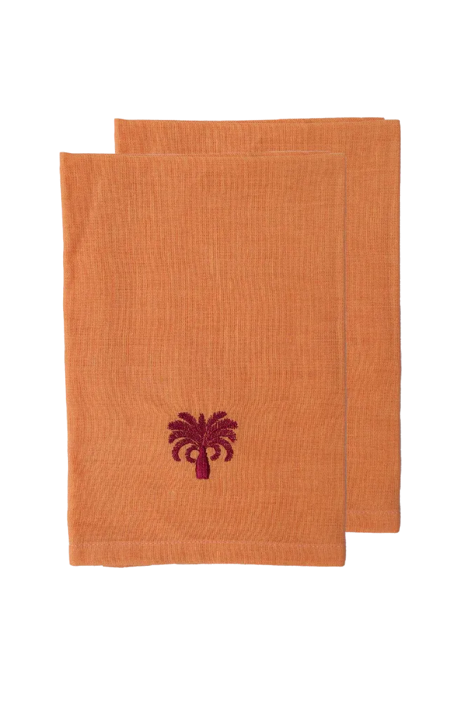Napkin Set ~2 ~ Orange