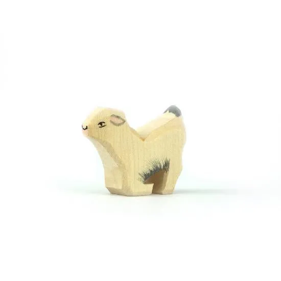 Ostheimer Small Goat (Kid) Drinking
