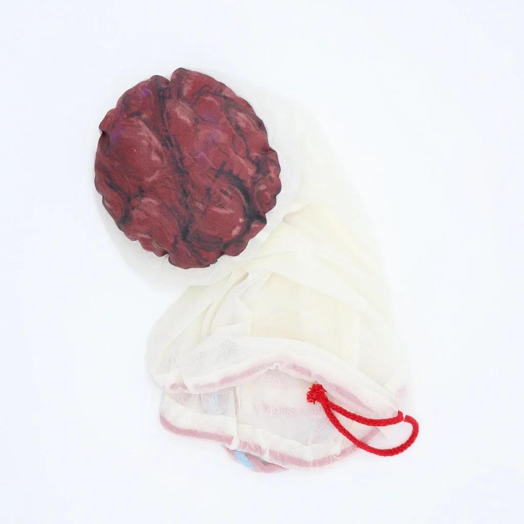 PLACENTA/CORD/AMNION/CHORION CLOTH MODEL