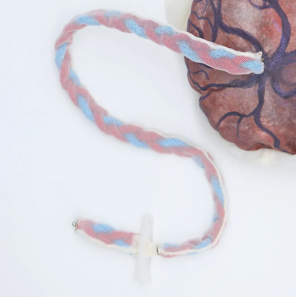 PLACENTA/CORD/AMNION/CHORION CLOTH MODEL