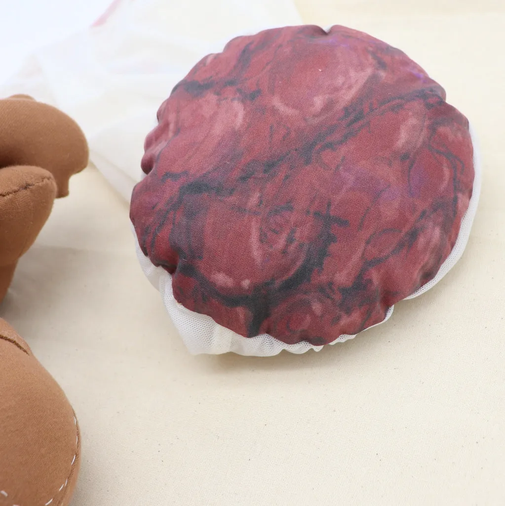 PLACENTA/CORD/AMNION/CHORION CLOTH MODEL