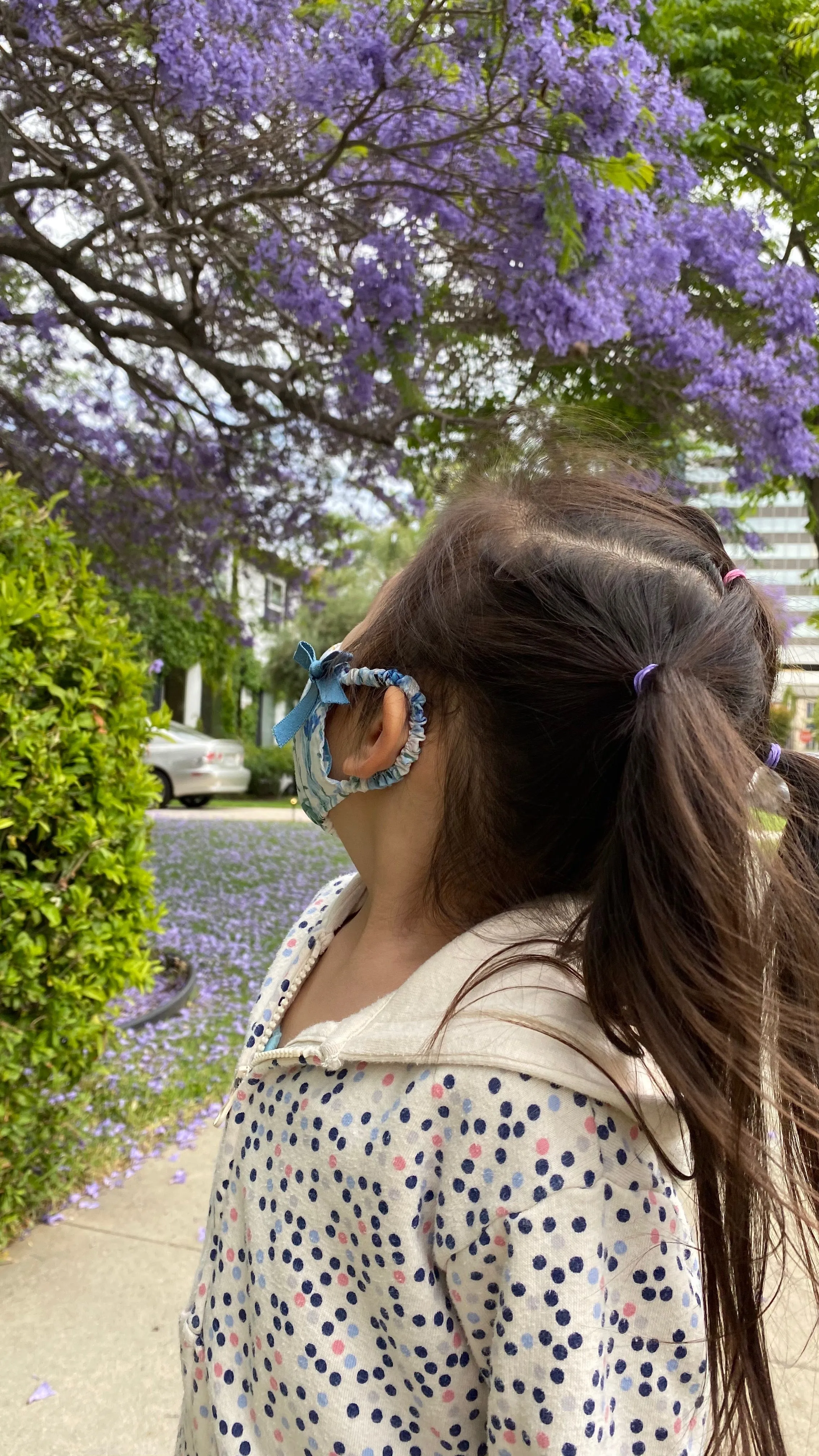 "Be Safe. Be Kind" Printed Heirloom Mask - Blue Wildflower