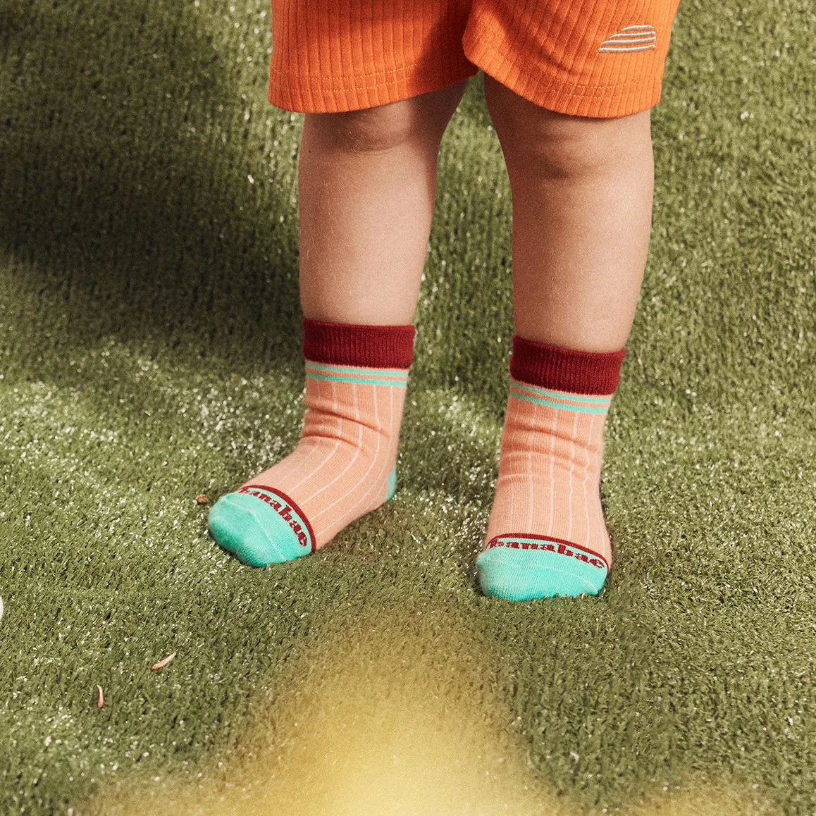 Rad Kid Berry Crew and Stripe Sock Pack