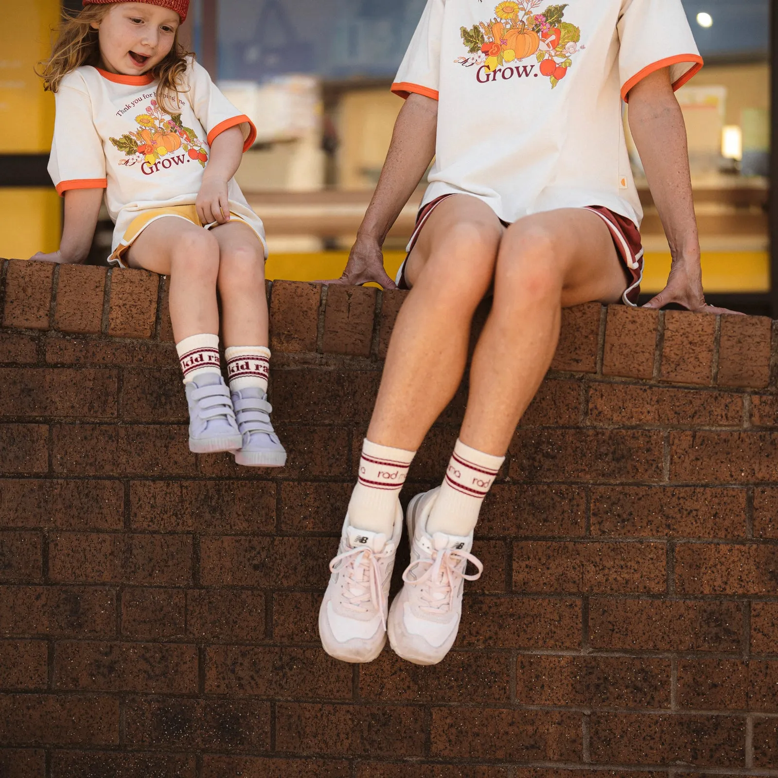 Rad Kid Berry Crew and Stripe Sock Pack