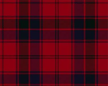 Robertson Modern Light Weight 8oz Tartan Cloth