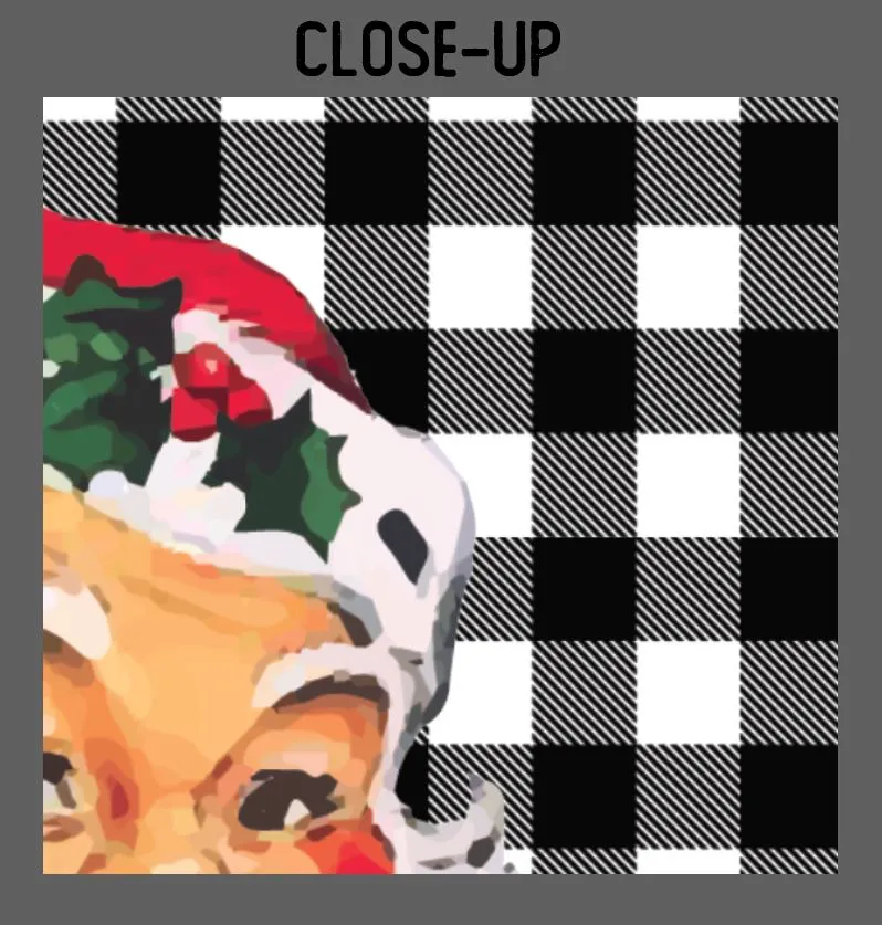 Santa on White Buffalo Plaid Garden Flag