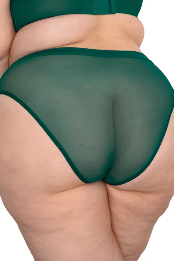 Sheer Mesh High Cut Brief - Emerald