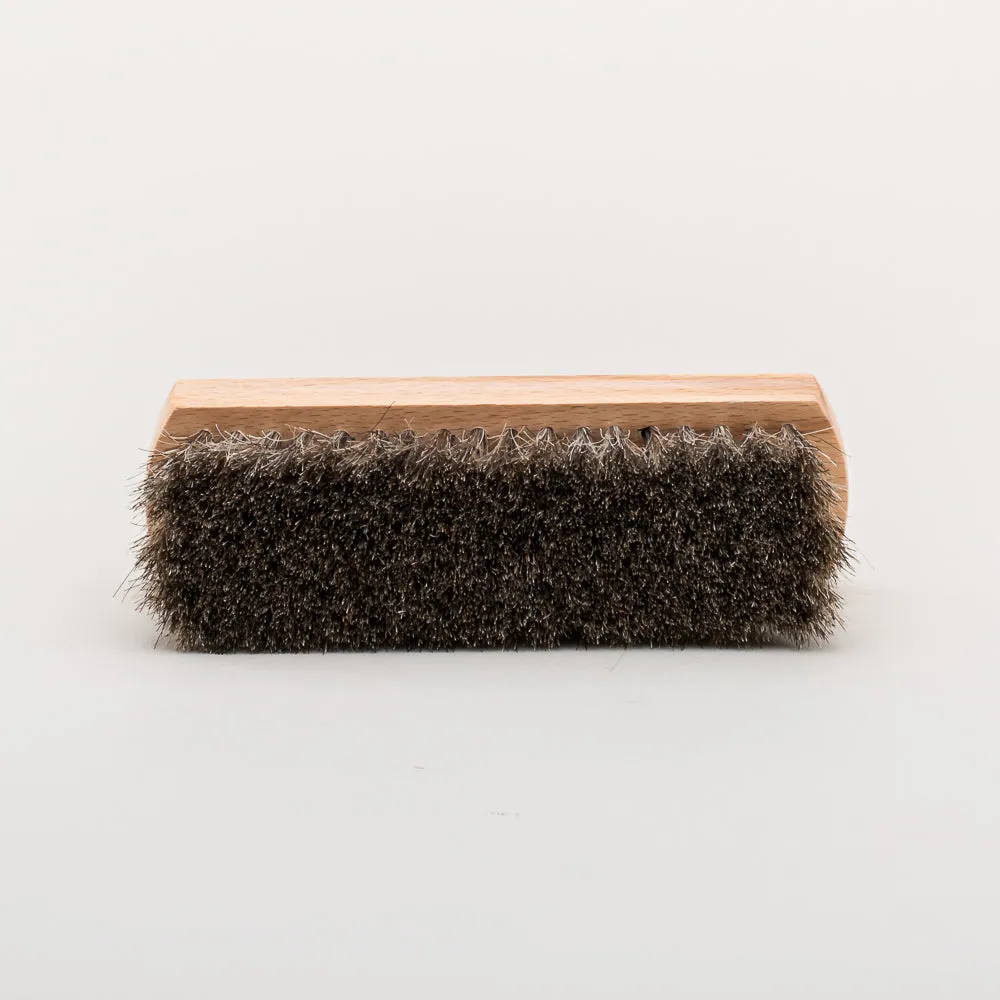 Shoe Brush and Polishing Cloth