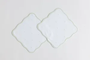 Washcloth Set, Sage Embroidered Dots