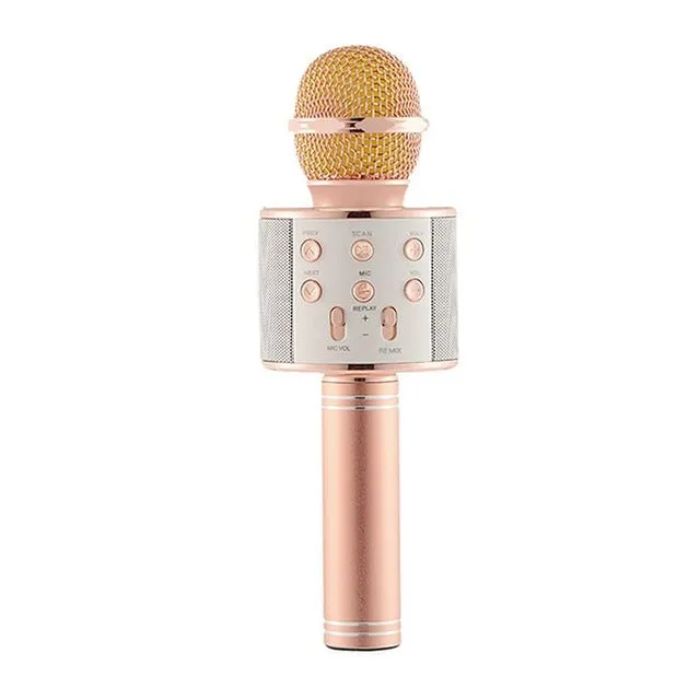 Wireless Karaoke Microphone