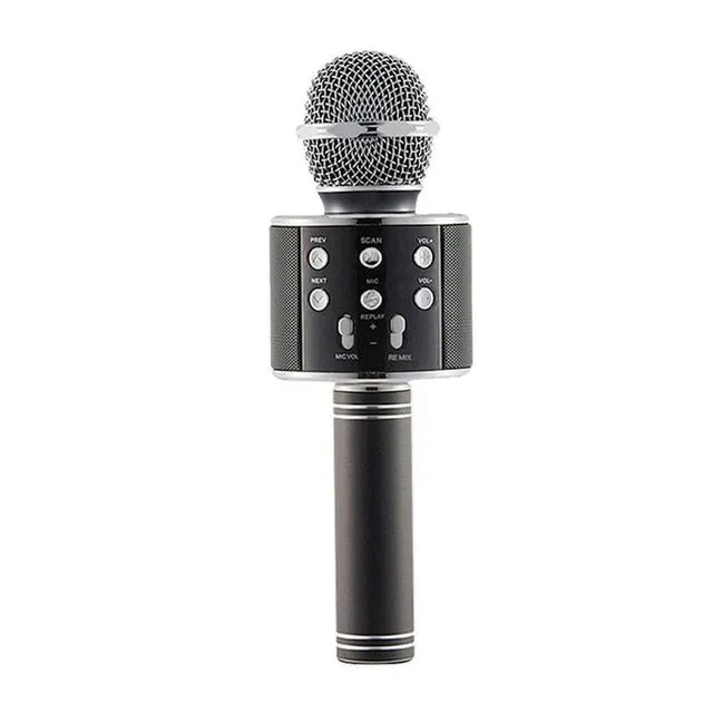 Wireless Karaoke Microphone